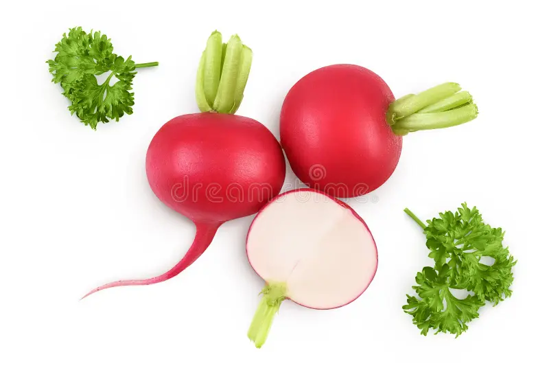 Radish